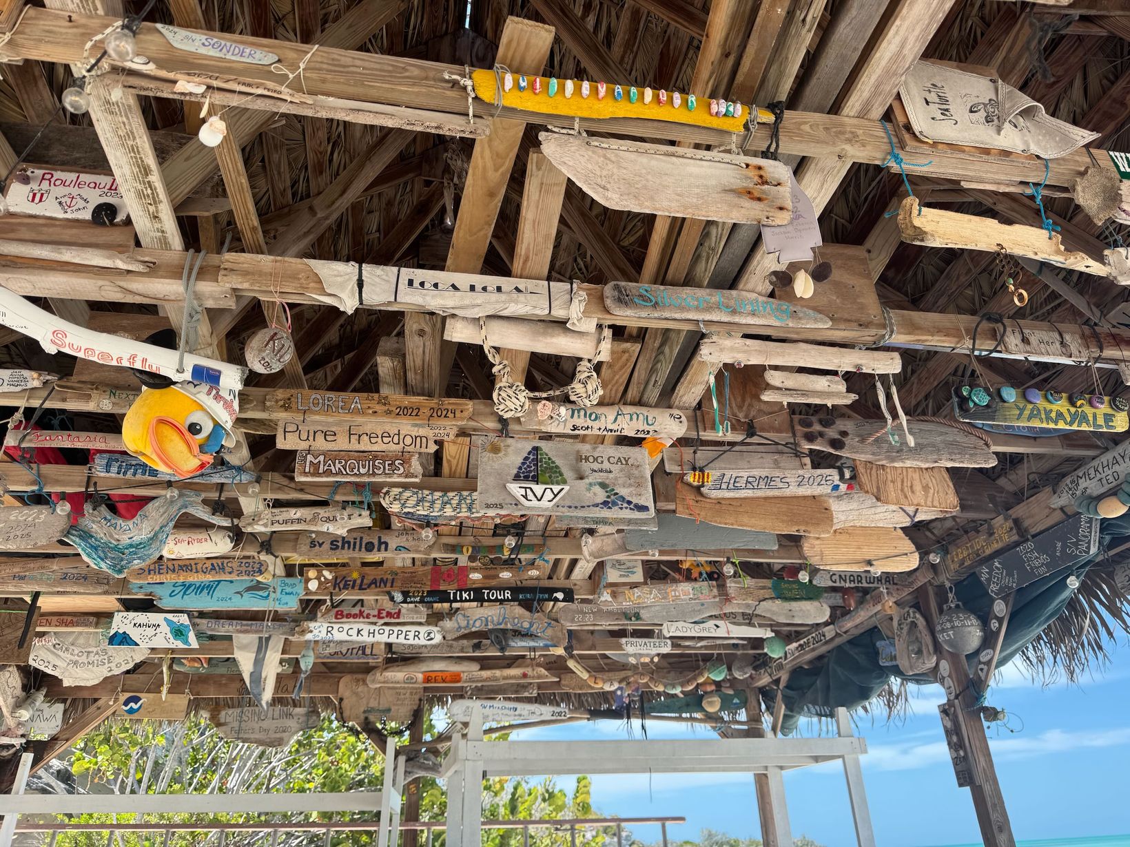 2025-04-08 Bahamas - 23