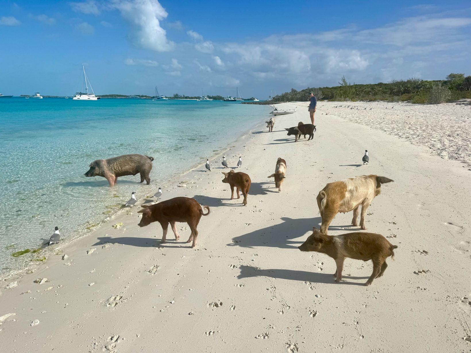 2025-04-23 Bahamas - 77