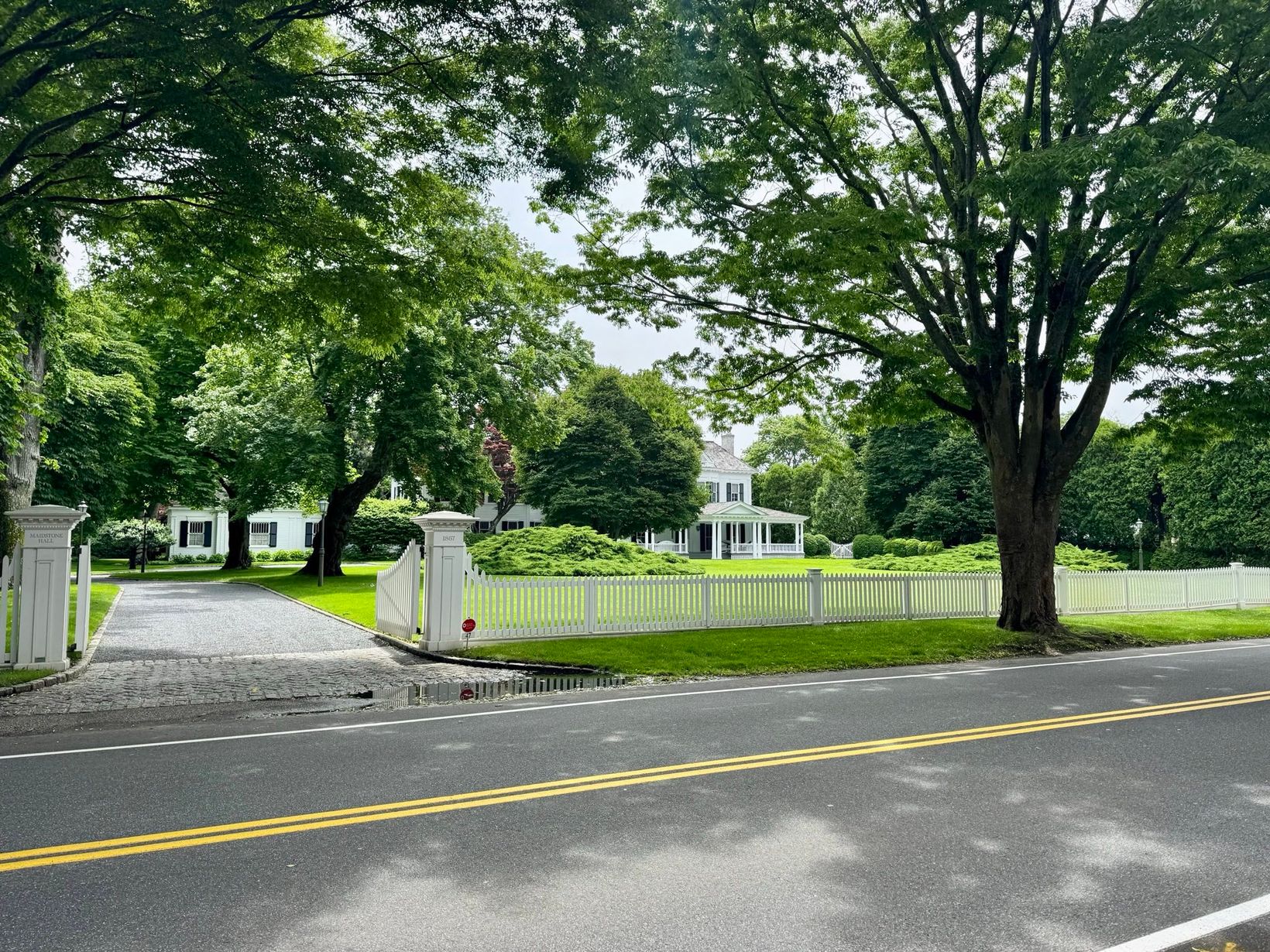 IMG 2451
