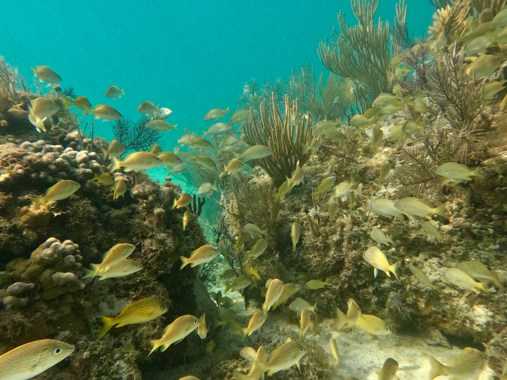 IMG 7244