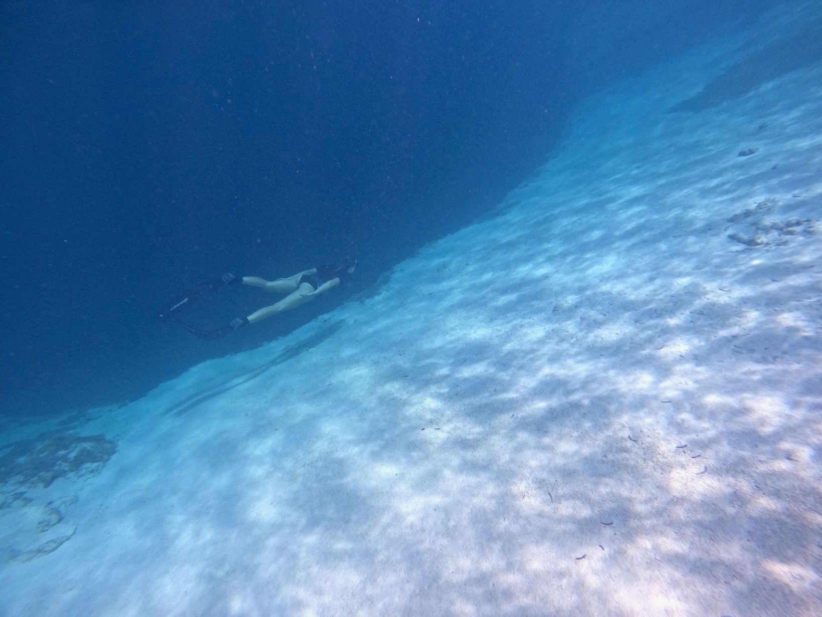 2025-04-14 Bahamas - 47