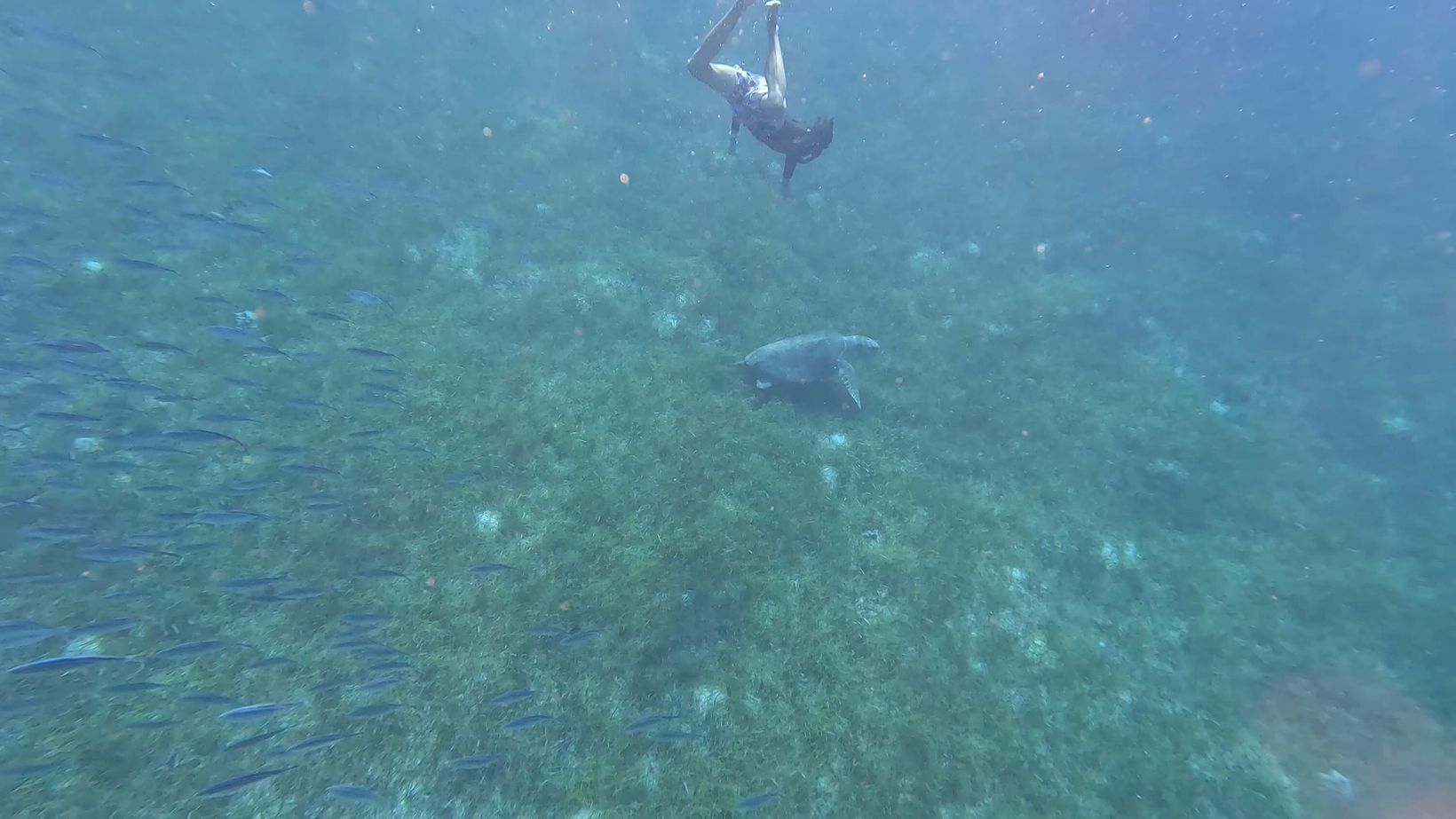 2025-04-11 Bahamas - 34