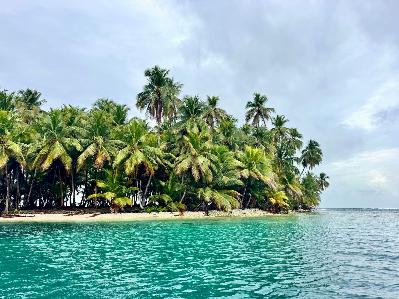 2026-02-23 IMG 1643