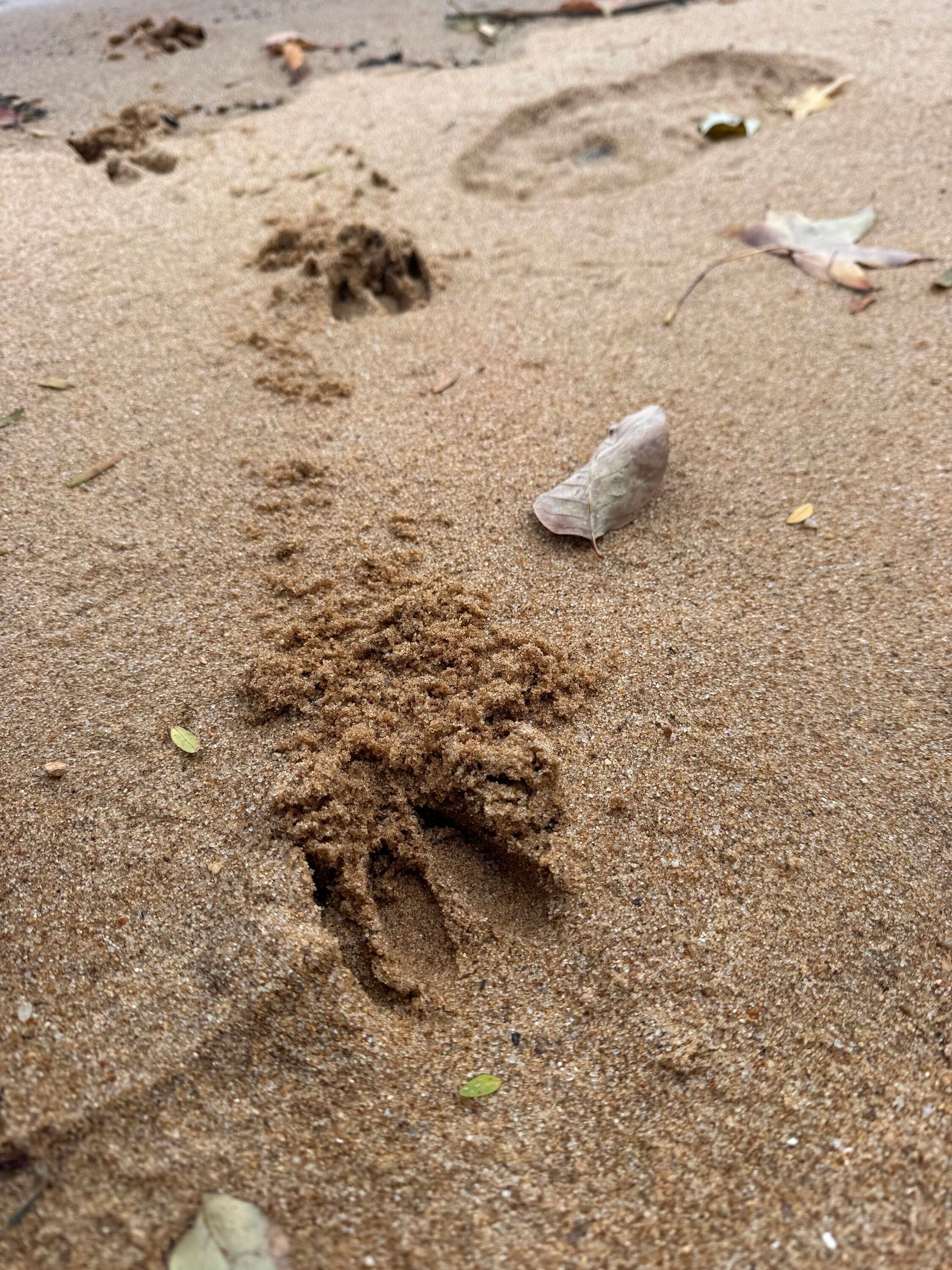 2025-10-28 IMG 0487(1)