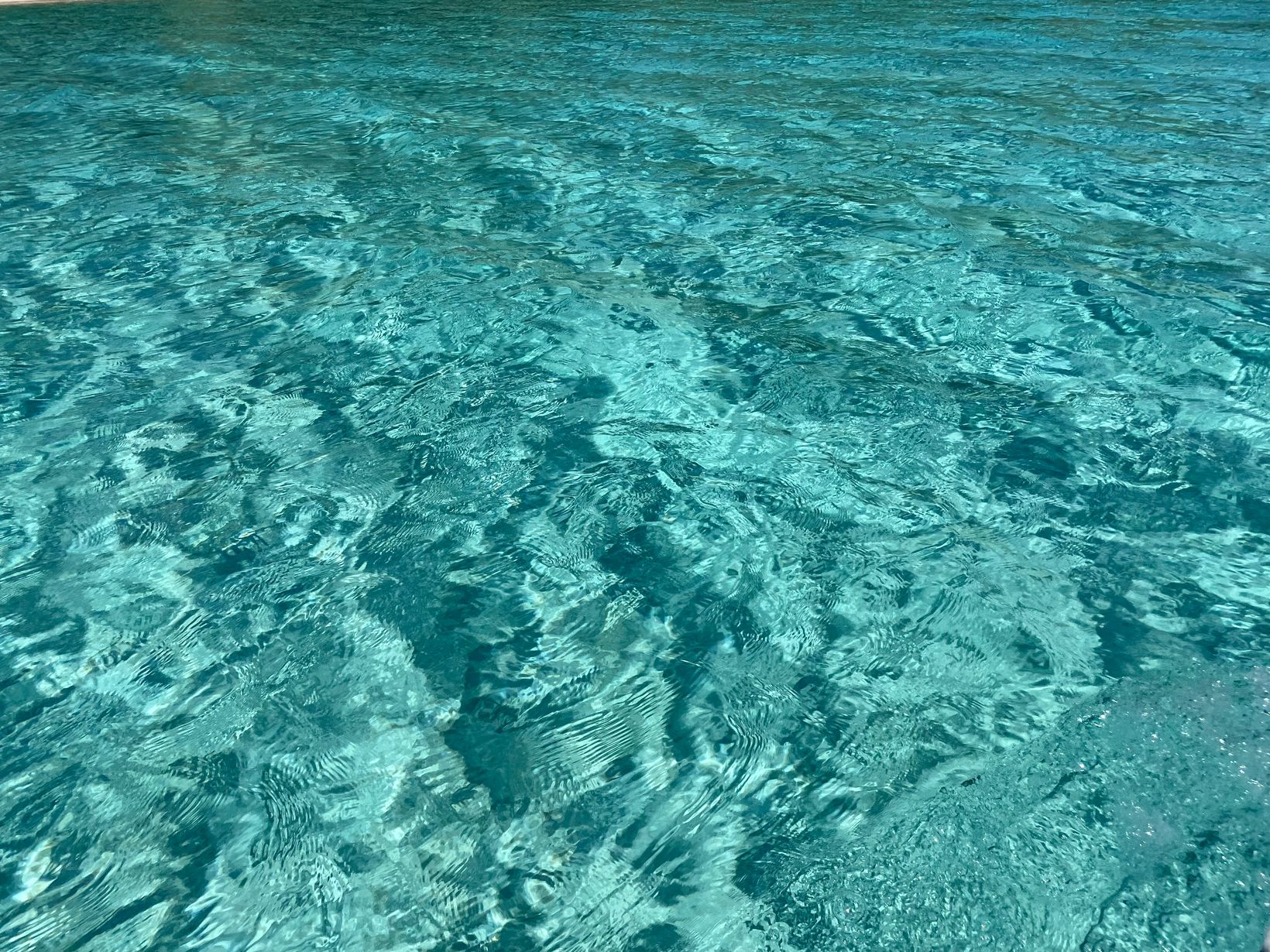 IMG 9516