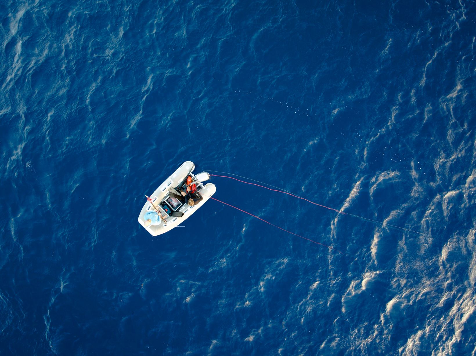 2026-07-07 DJI 0279