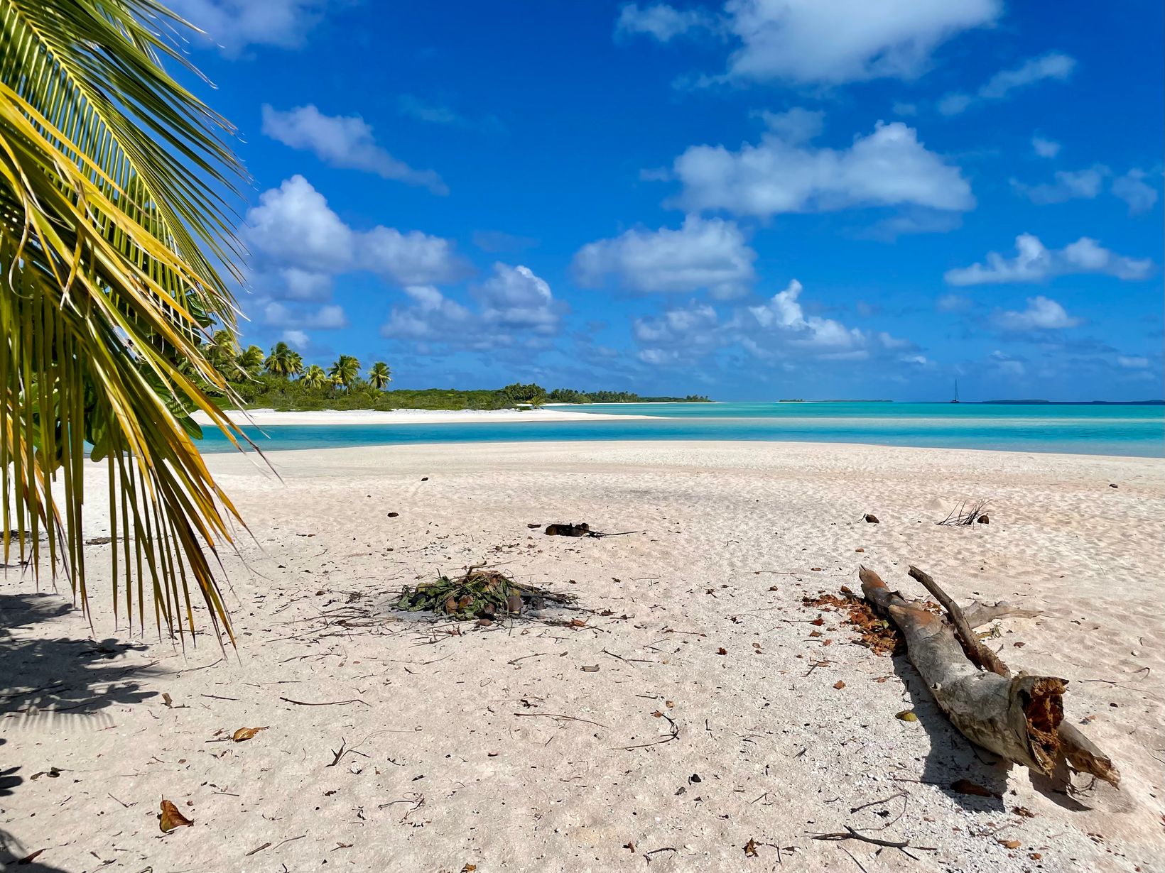 IMG 9523