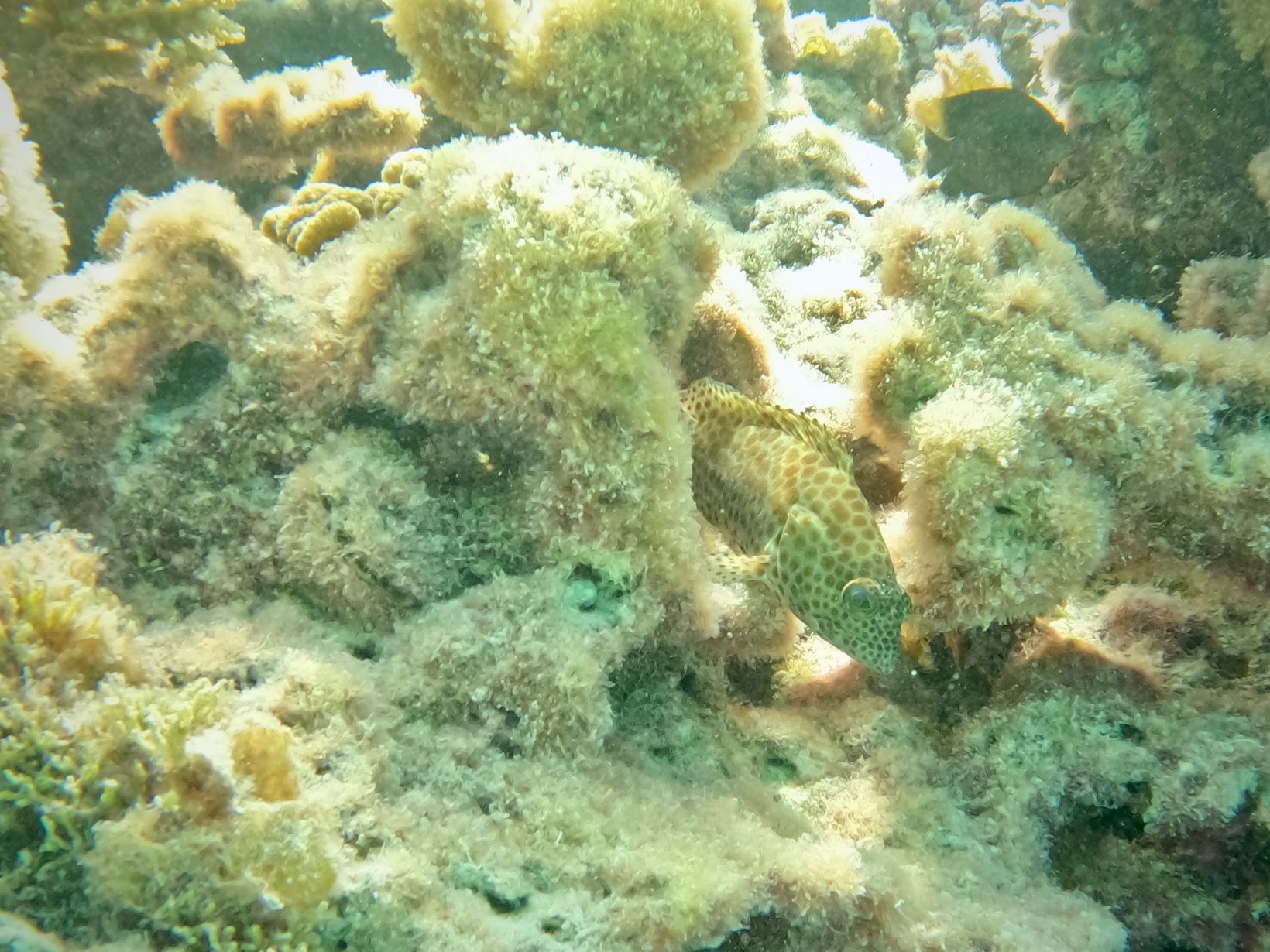 GOPR2555 2