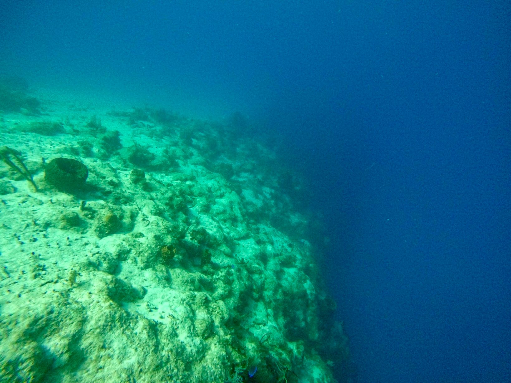 IMG 0888