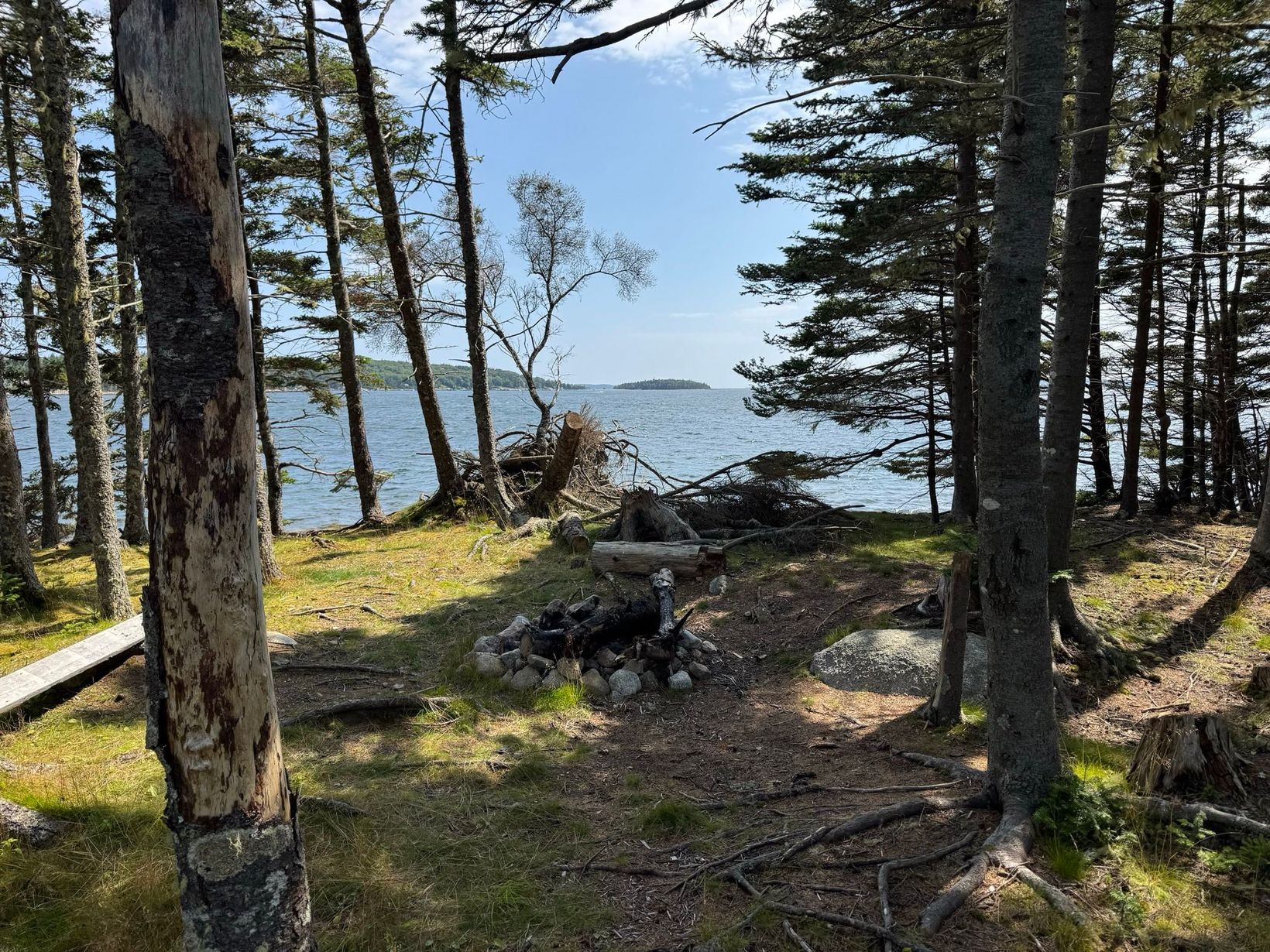 IMG 2619