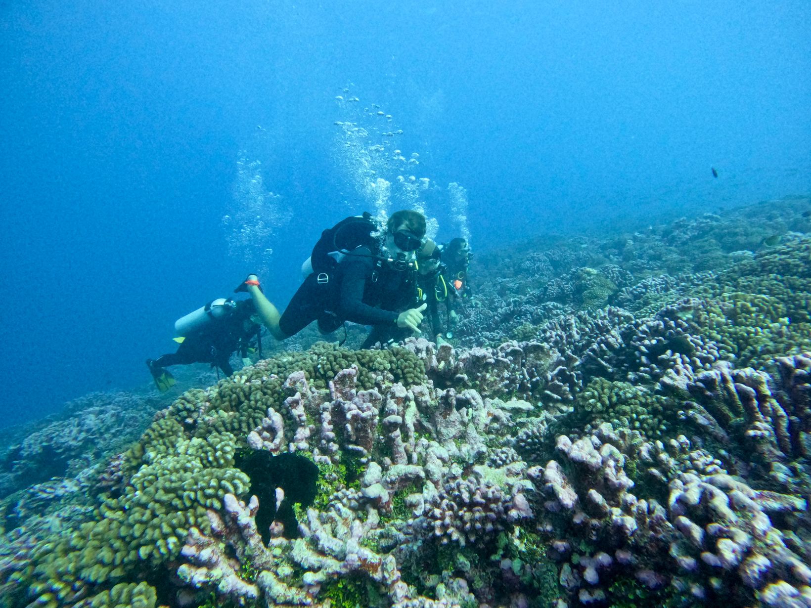 GOPR2398