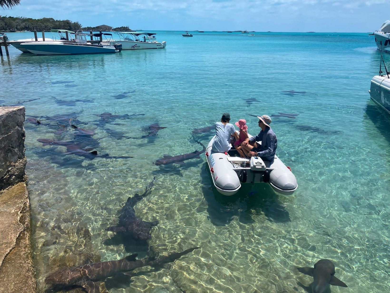 2025-04-28 Bahamas - 94