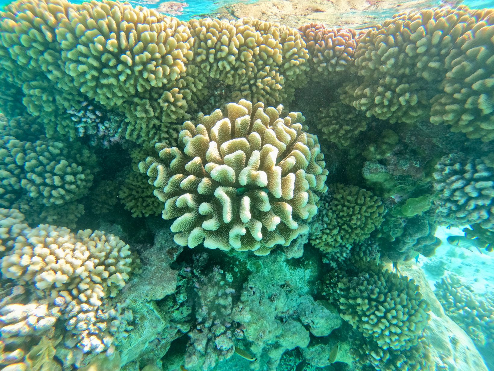 GOPR2566 2
