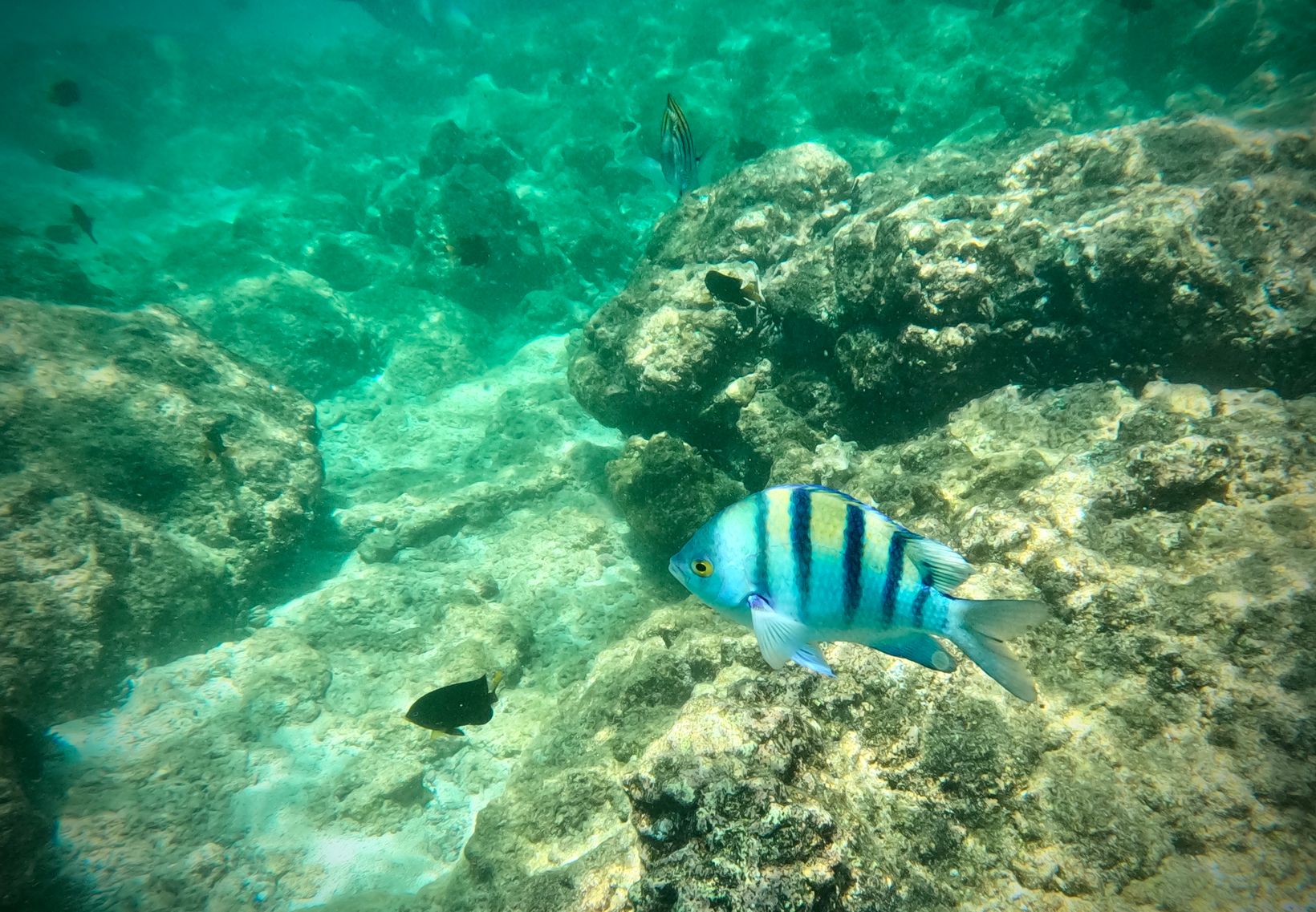 GOPR1898