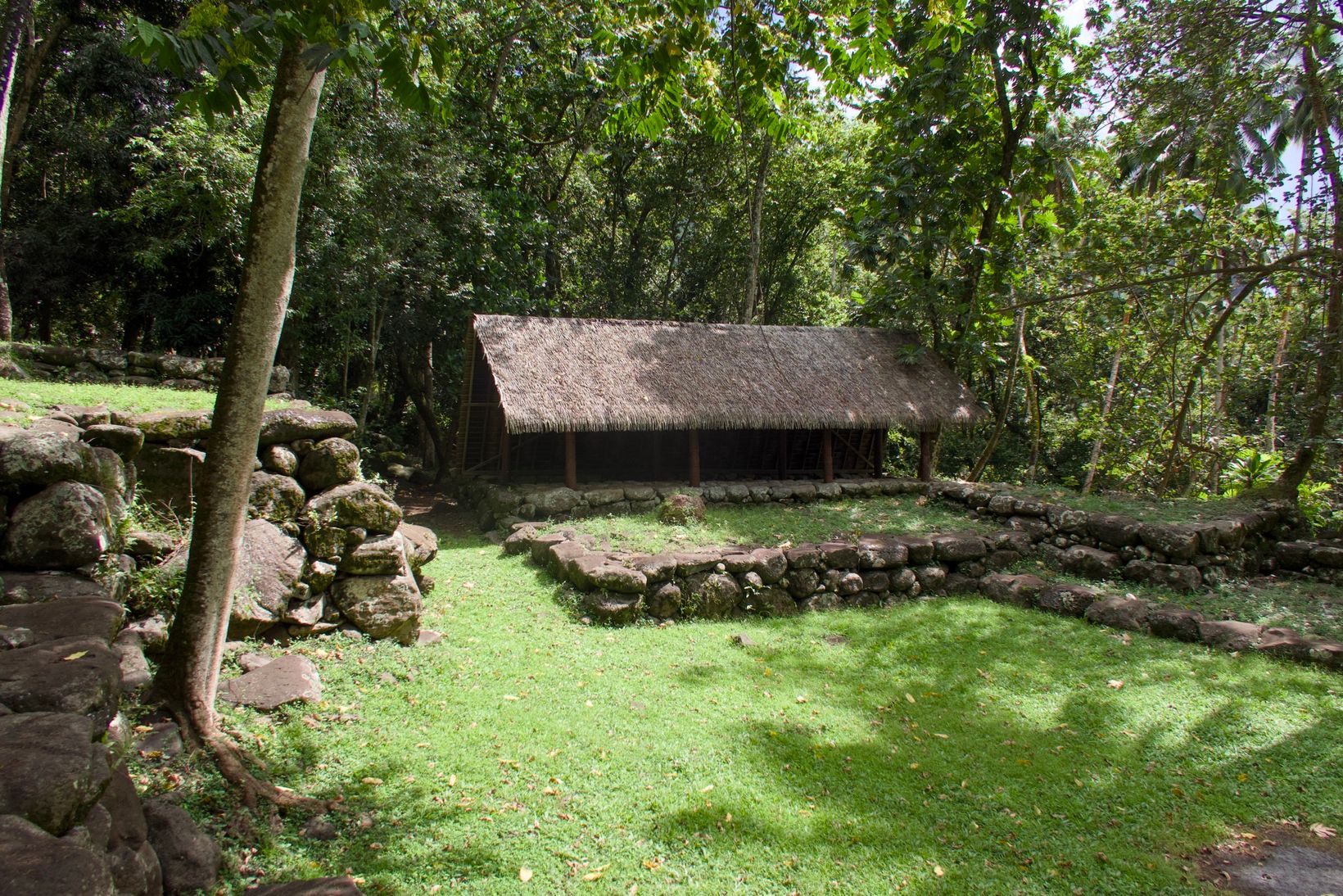 IMG 9410