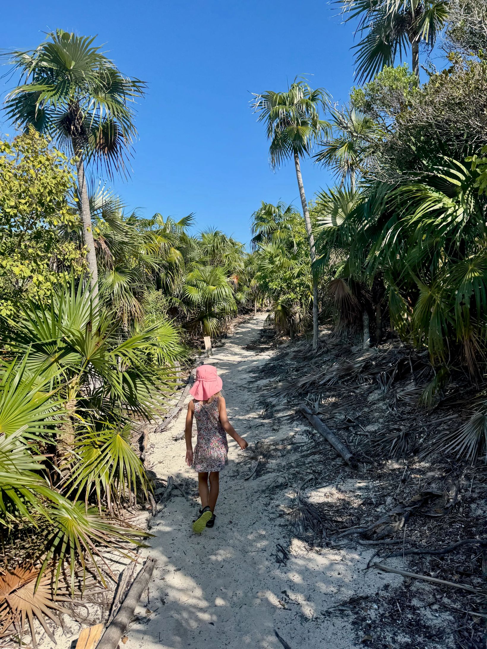2025-04-17 Bahamas - 56