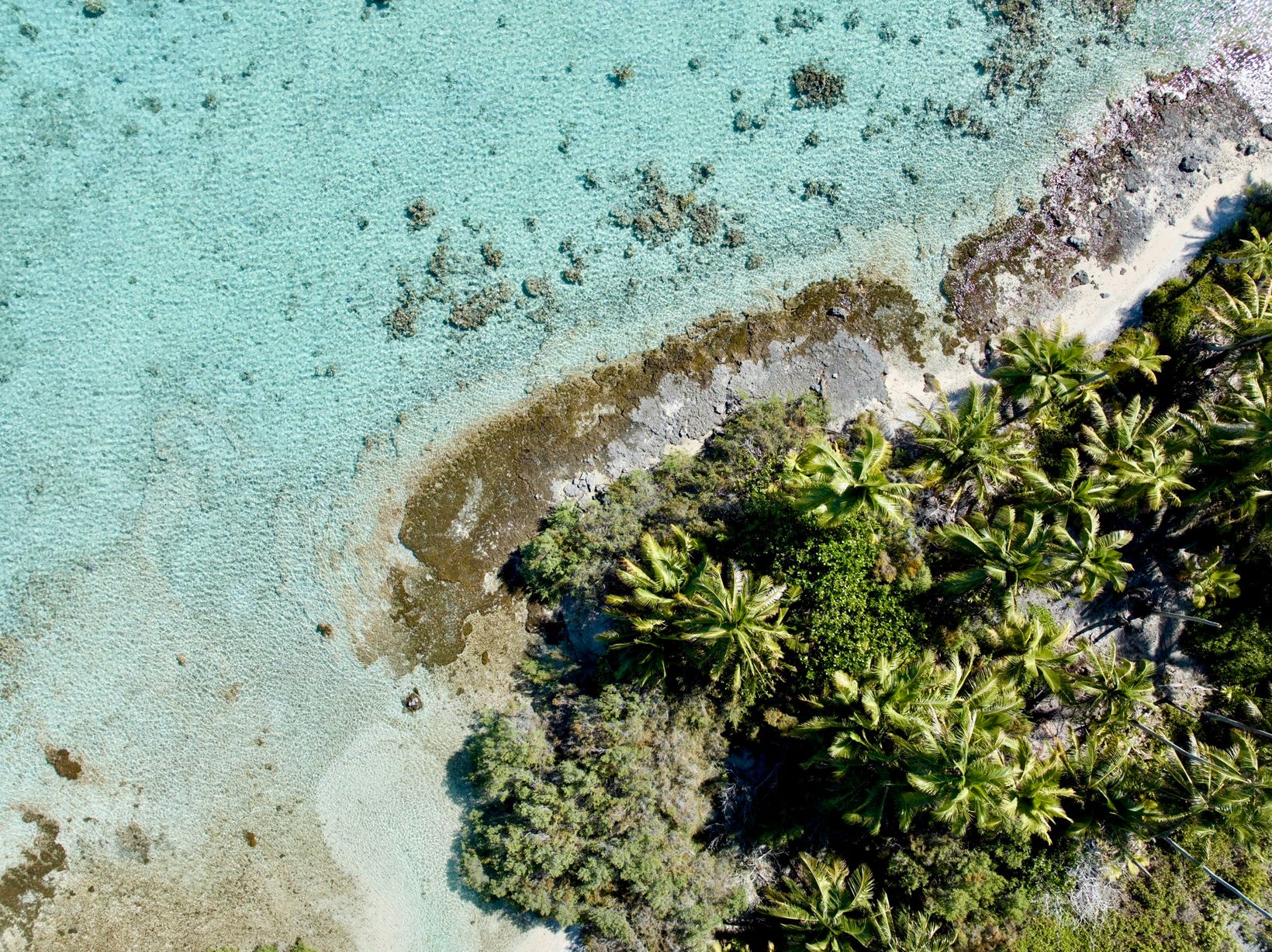 2026-06-13 DJI 0266