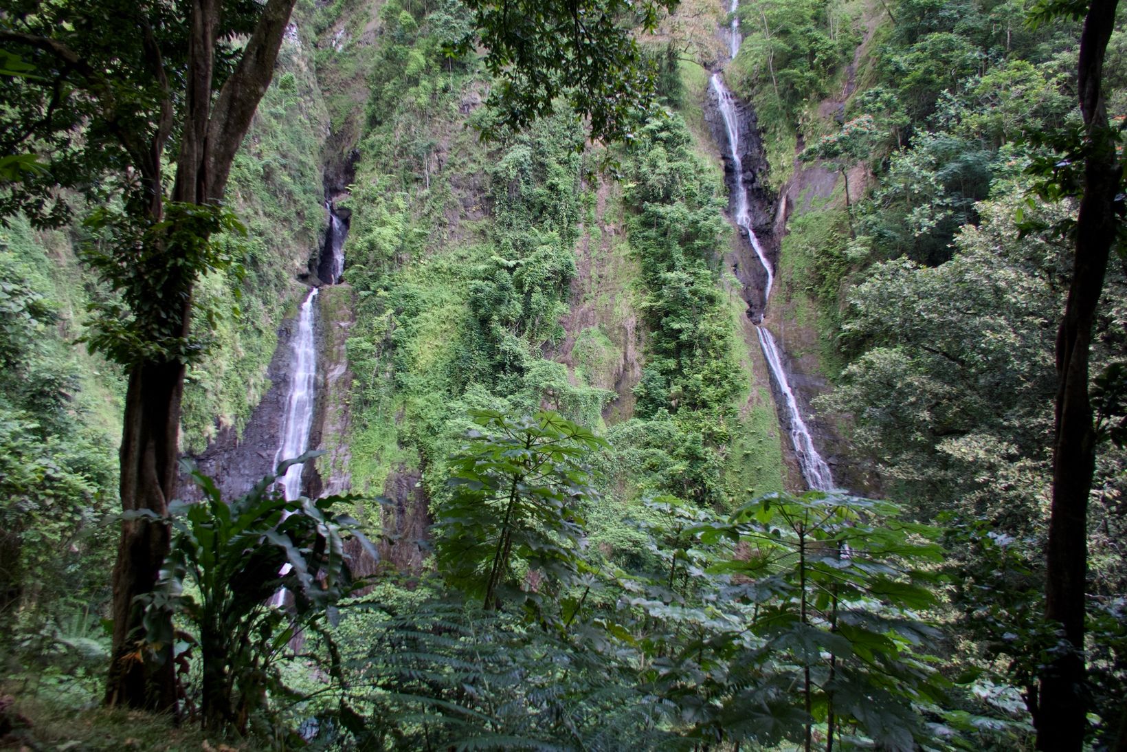 IMG 0064