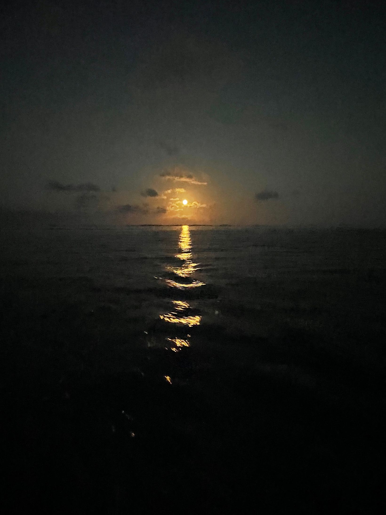 IMG 0700