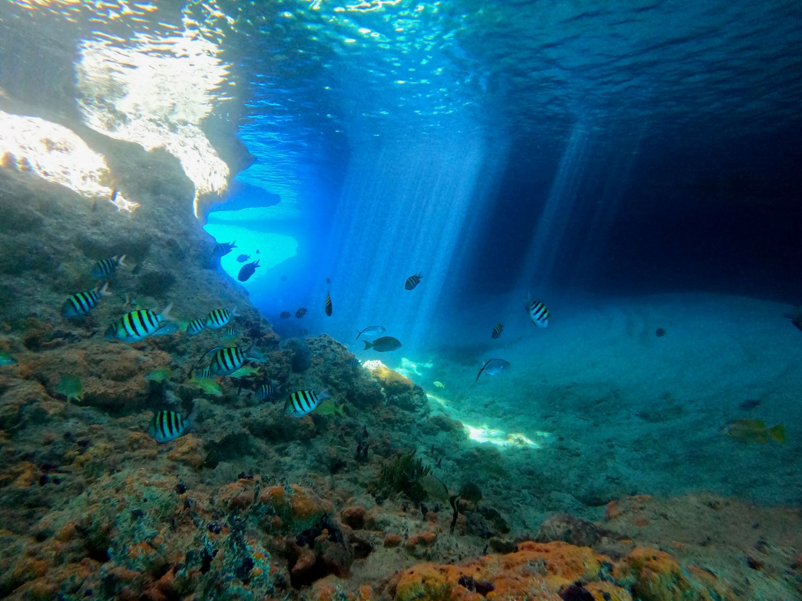 2025-04-22 Bahamas - 73