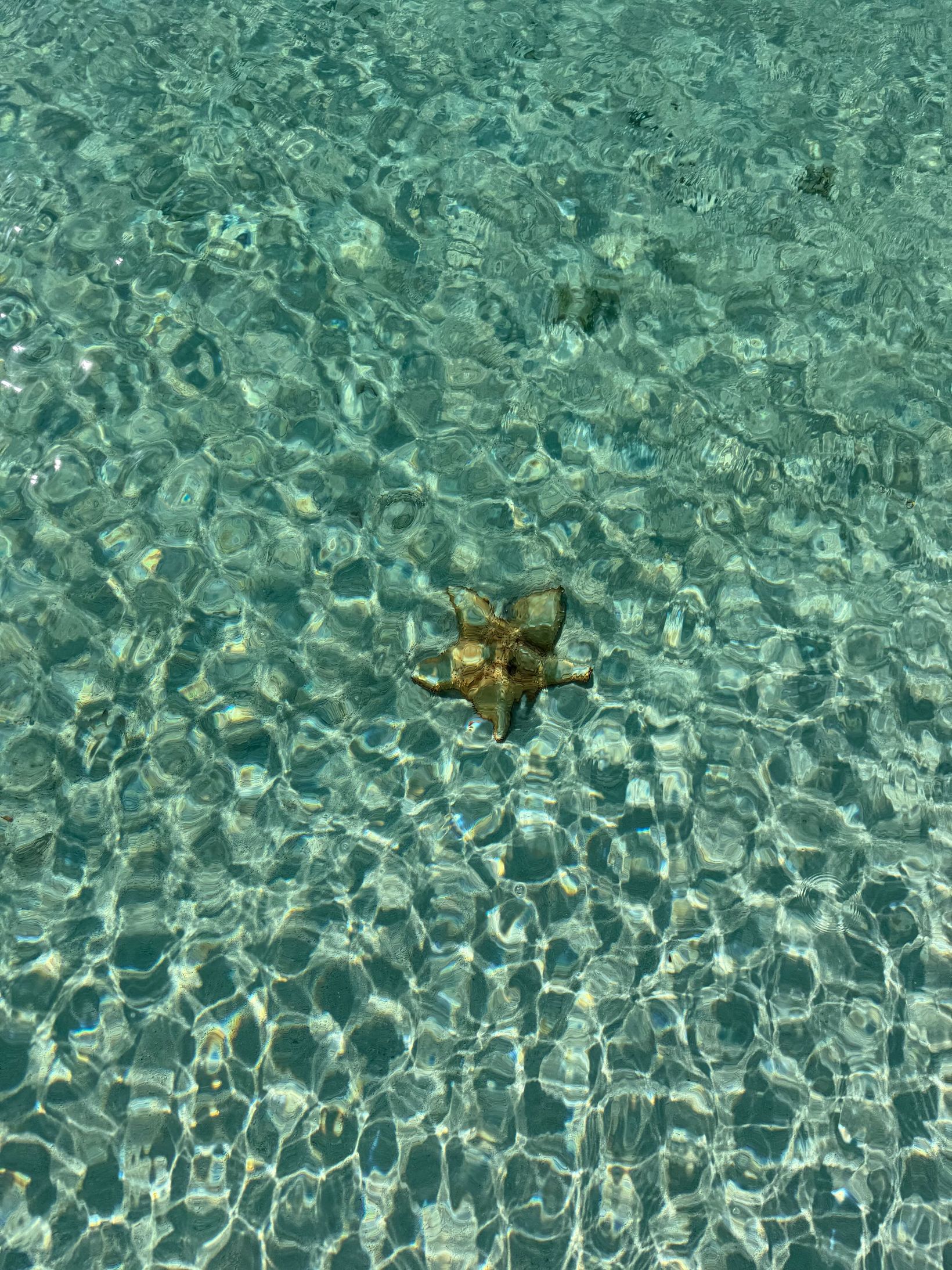 2025-04-07 Bahamas - 19