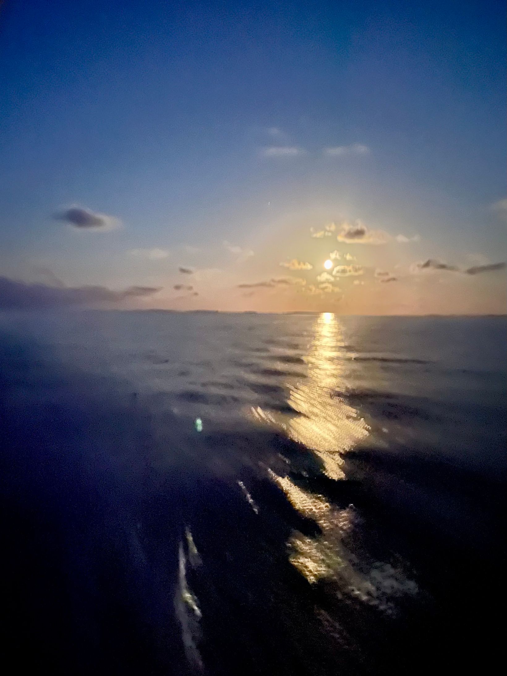 IMG 0697