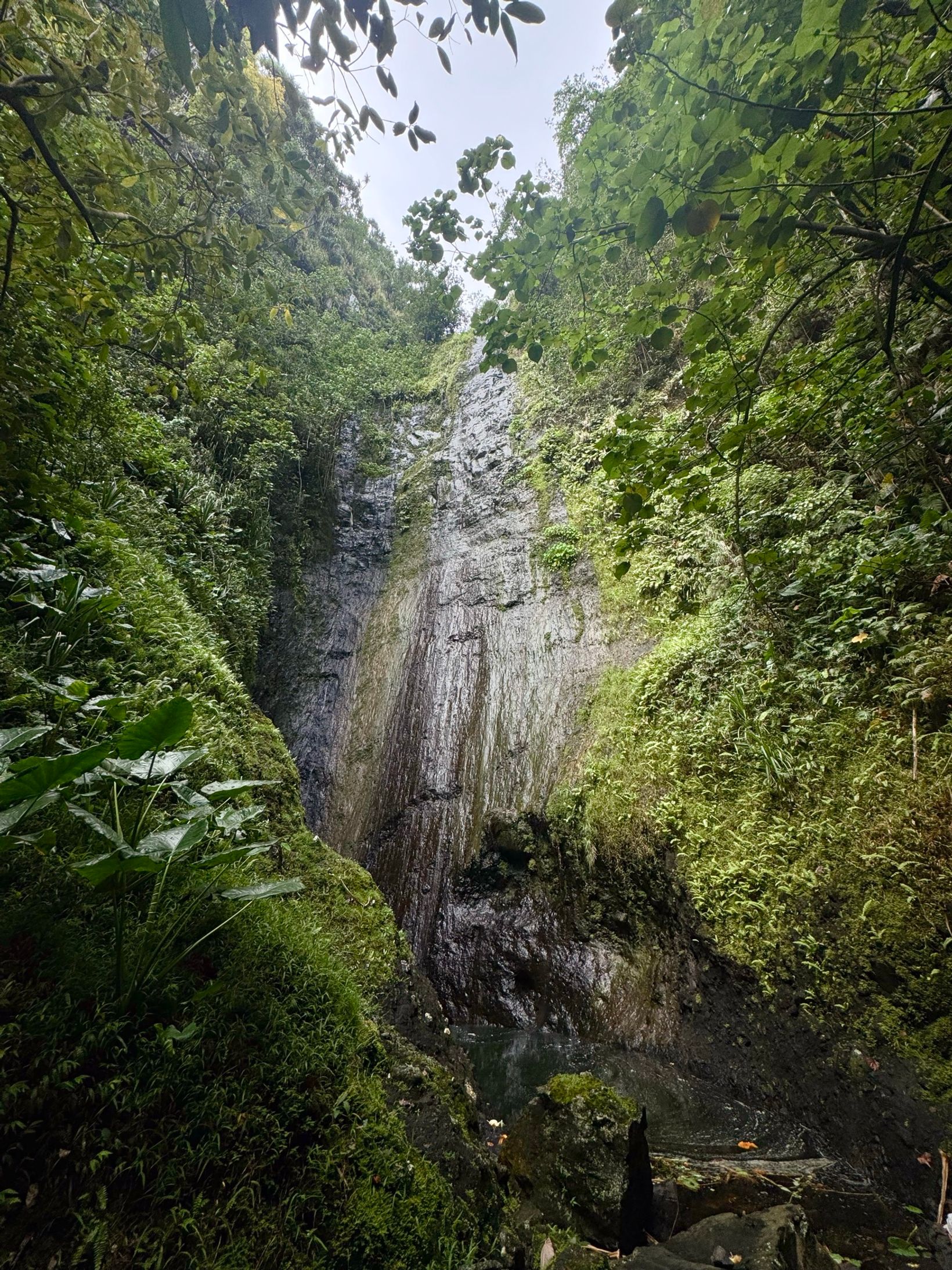 IMG 9359